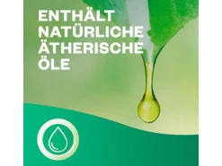 Air Wick Active Fresh Nachfüller Jasminblüte