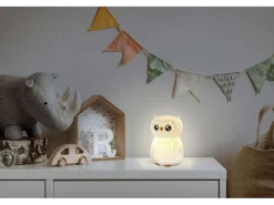 Ansmann Nachtlicht Eule 0.2W, IP20, USB-Ladung