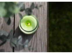 balthasar Gartenkerze Citronella Jar Hellgrün