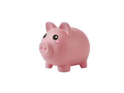 Basteln Spardose Schwein
