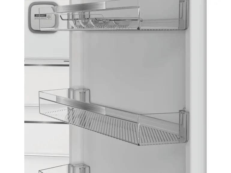 Bauknecht Kühlschrank BKKG196C Rechts