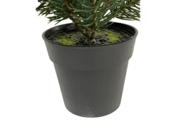 Botanic-Haus Weihnachtsbaum Tannenbaum im Topf, 41 cm