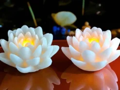 Dameco LED Wachskerze Lotus Blüte 2er Set rosa und türkis grün