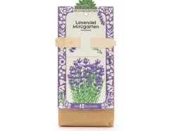 Die Stadtgärtner Anzuchtset Lavendel