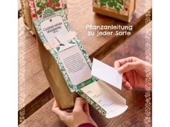 Die Stadtgärtner Anzuchtset Pesto-Basilikum