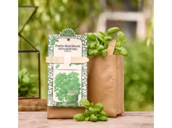 Die Stadtgärtner Anzuchtset Pesto-Basilikum