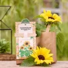 Die Stadtgärtner Anzuchtset Sonnenblume