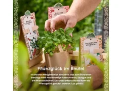 Die Stadtgärtner Anzuchtset Schnittlauch