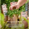 Die Stadtgärtner Anzuchtset Wildtomate