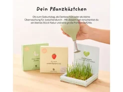 Die Stadtgärtner Pflanzenkästchen «Danke»