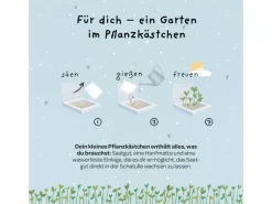 Die Stadtgärtner Pflanzenkästchen «Herzrasen kann man nicht mähen»