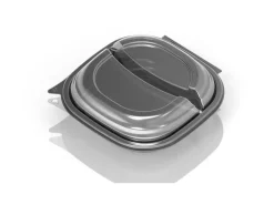 Duni Einweg-Schale Vista 25 Stück, 2-teilung, 670/460 ml