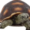 Esschert Design Esschert Schildkröte S Bunt, S, Polyresin