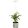 Esschert Design Pflanzenlampe LED Weiss höhenverstellbar USB