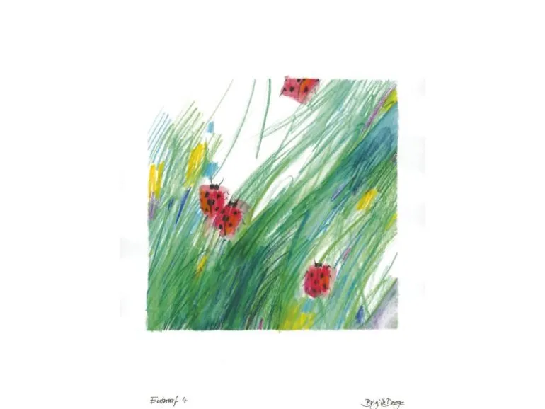Faber-Castell Farbstifte COLOUR GRIP 12 Stück