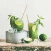 Gastroback Ice Crusher