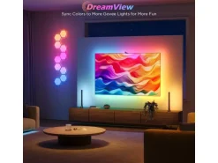 Govee Envisual TV Backlight 3S Netflix Version, RGBICW, 55