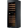 Haier Wine Bank 50 Serie 5 HWS56GDG Kompressor Wechselbar/Rechts