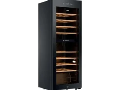 Haier Wine Bank 50 Serie 5 HWS56GDG Kompressor Wechselbar/Rechts