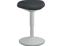 Leitz Ergo Active Sitzhocker Hellgrau