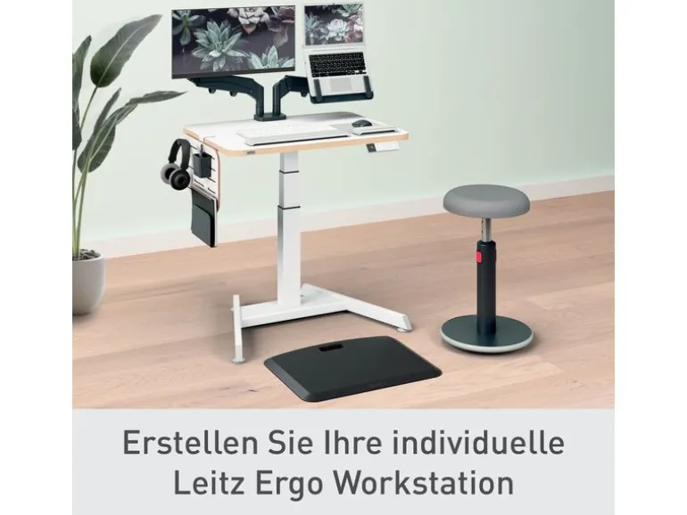 Leitz Ergo Schreibtisch-Organizer Klein, Weiss