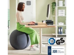Leitz Sitzball Ergo Active 55 cm, Dunkelgrau