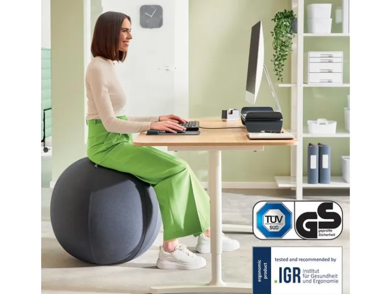 Leitz Sitzball Ergo Active 55 cm, Dunkelgrau