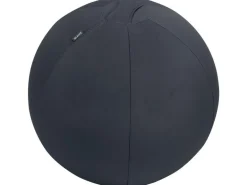 Leitz Sitzball Ergo Active 55 cm, Dunkelgrau