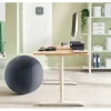 Leitz Sitzball Ergo Active 65 cm, Dunkelgrau
