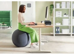 Leitz Sitzball Ergo Active 65 cm, Dunkelgrau