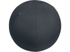 Leitz Sitzball Ergo Active 65 cm, Dunkelgrau