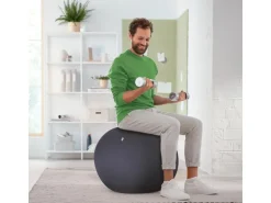 Leitz Sitzball Ergo Active 65 cm, Dunkelgrau