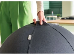 Leitz Sitzball Ergo Active 65 cm, Dunkelgrau