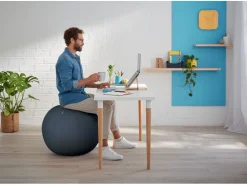Leitz Sitzball Ergo Cosy Active Grau