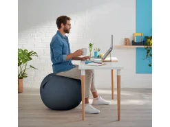 Leitz Sitzball Ergo Cosy Active Grau