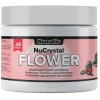 Numatic Staubsauger Deo NuCrystal Flower