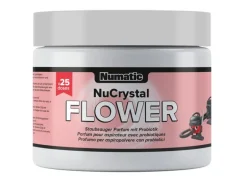 Numatic Staubsauger Deo NuCrystal Flower