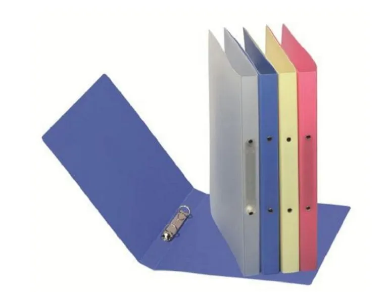 Pagna Ringbuch A4 PP 2.3 cm, Transparent