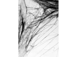 Partydeco Spinnengewebe Halloween 60g, Schwarz