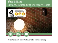 Paulmann Controller Plug & Shine Zigbee IP68 24 V DC