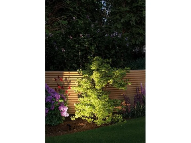 Paulmann Gartenspot Plug & Shine Sting 100° 3000 K, Basisset