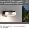 Paulmann LED Aussenwandleuchte Capera Bewegungsmelder Anthrazit