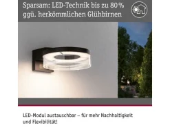 Paulmann LED Aussenwandleuchte Capera Bewegungsmelder Anthrazit