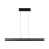 Paulmann LED Pendelleuchte Raiko, Schwarz