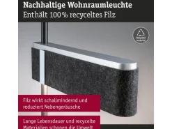 Paulmann LED Stehleuchte Jagun 2700K 20.4W Anthrazit