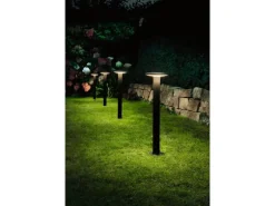 Paulmann Sockelleuchte Plug & Shine Plate, 3000 K, Schwarz
