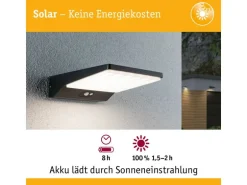Paulmann Solar LED Aussenwandleuchte Ronas, Dunkelgrau