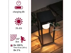 Paulmann Solar LED Lichtobjekt Marisol IP44 3000K 350 lm Schwarz