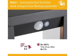 Paulmann Solar LED Lichtobjekt Marisol IP44 3000K 350 lm Schwarz