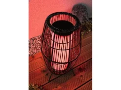 Paulmann Stehleuchte Plug & Shine Basket, RGBW, 3.2W, Schwarz